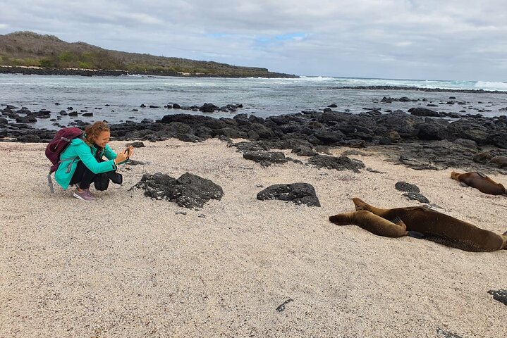 Day tour to San Cristobal Island with private Land Tour and snorkeling