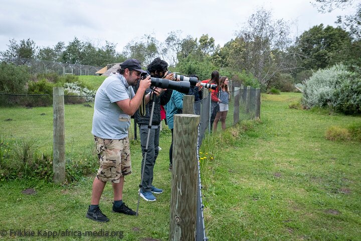 Wild Cat Experience Tour