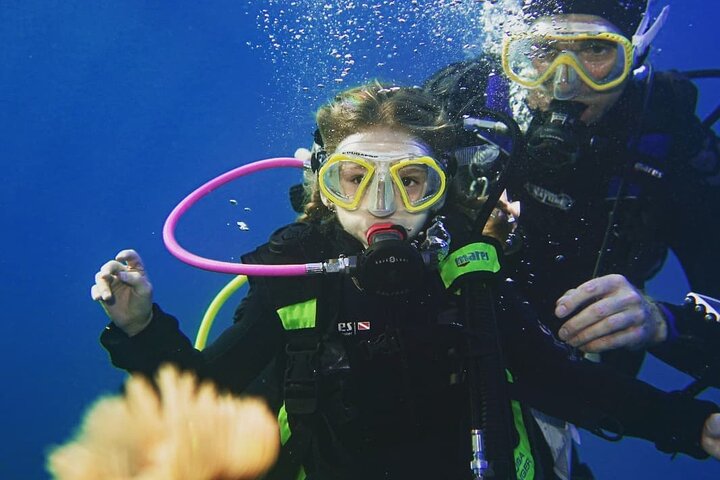 Introduction diving at Coral Reef with Instructor - 40 minutes