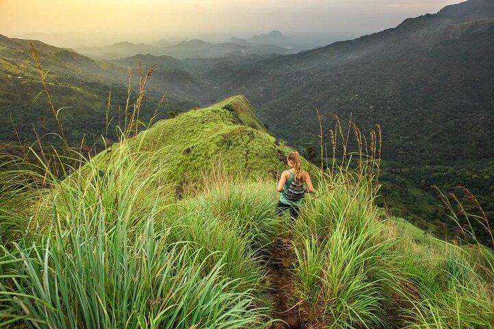 Ella Private Day Tour - Departing from Any Location in Sri Lanka