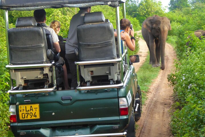 2 Days Tour of Double Safari (Yala & Udawalawe) - All Inclusive