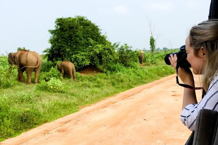 2 Days Tour of Double Safari (Yala & Udawalawe) - All Inclusive