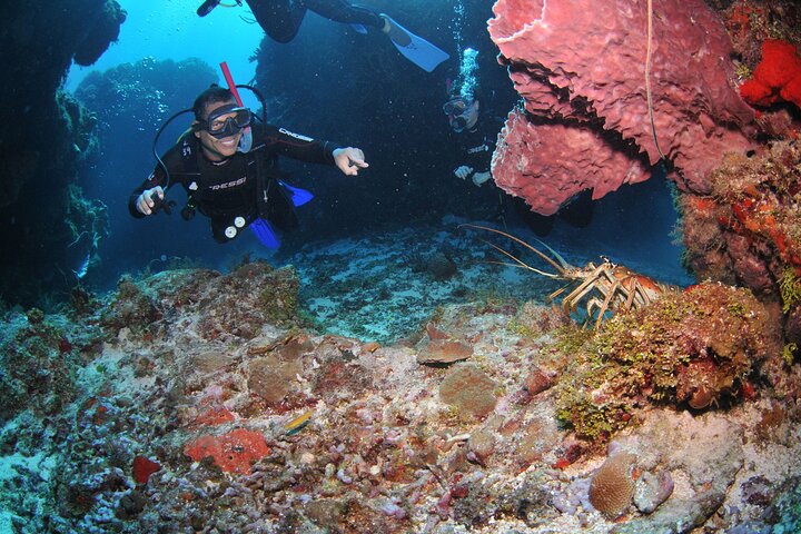 Discover scuba diving in Búzios