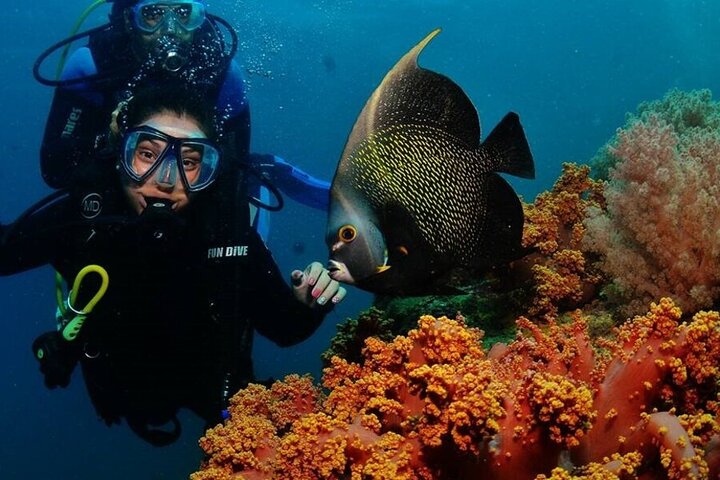 Discover scuba diving in Búzios