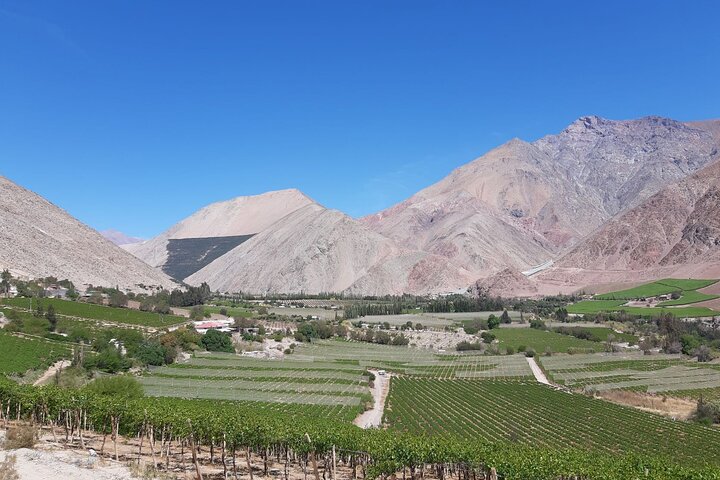Grand Tour Elqui Valley Cultural Treasures Mountains of Chile