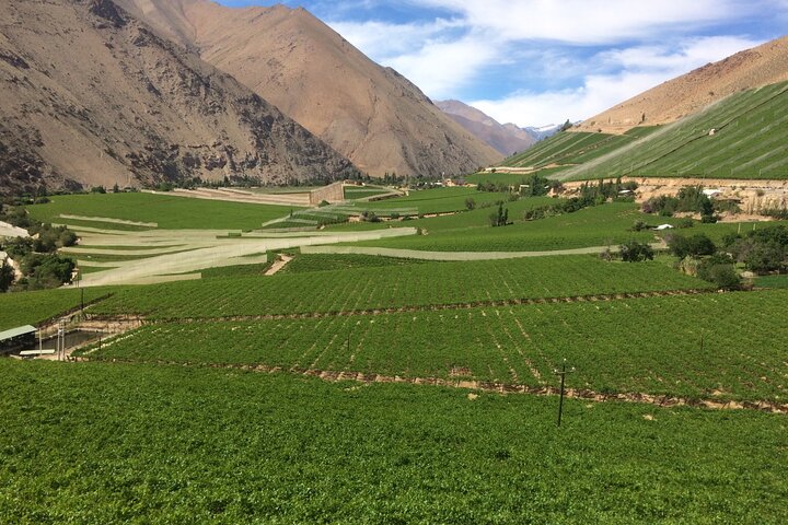 Grand Tour Elqui Valley Cultural Treasures Mountains of Chile