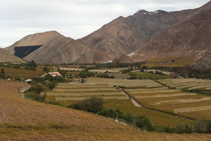 Grand Tour Elqui Valley Cultural Treasures Mountains of Chile