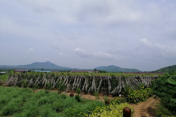 Kampot Pepper Tour, Salt Field, Cave Temple, Secret Lake