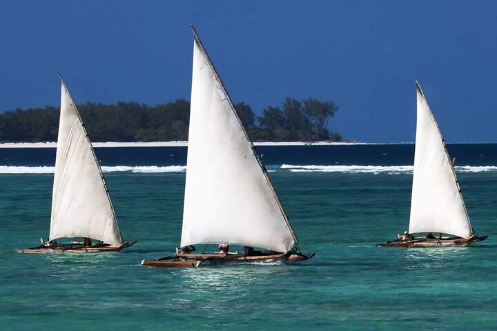Half Day Zanzibar Mnemba Atoll Marine Reserve Snorkeling Tour