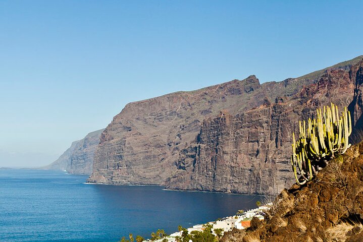 Day Tour with Official Guide Around the Island of Tenerife