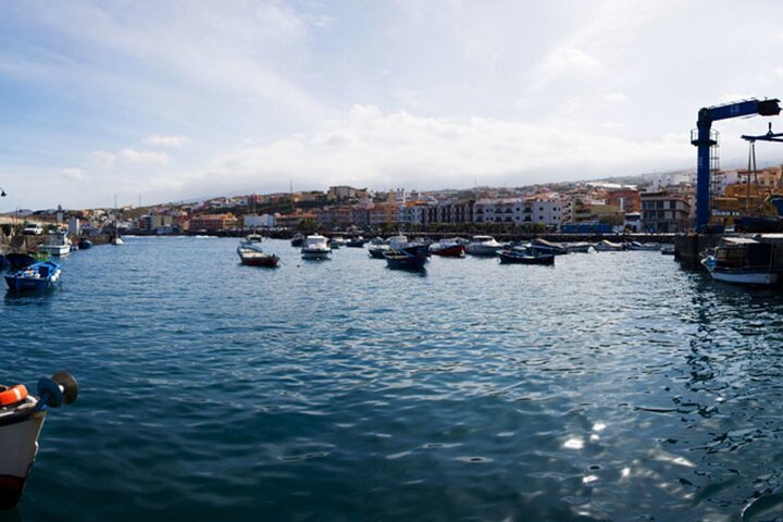 Day Tour with Official Guide Around the Island of Tenerife