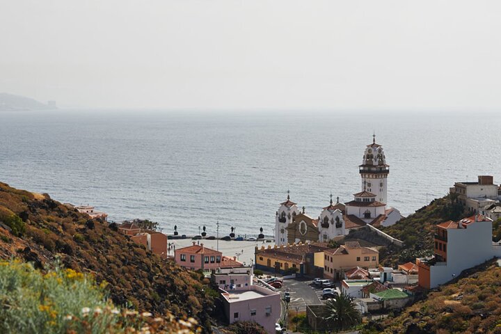 Day Tour with Official Guide Around the Island of Tenerife