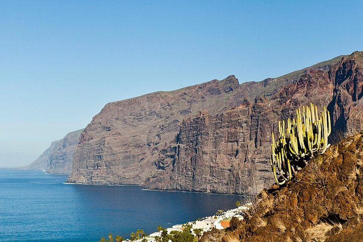 Day Tour with Official Guide Around the Island of Tenerife