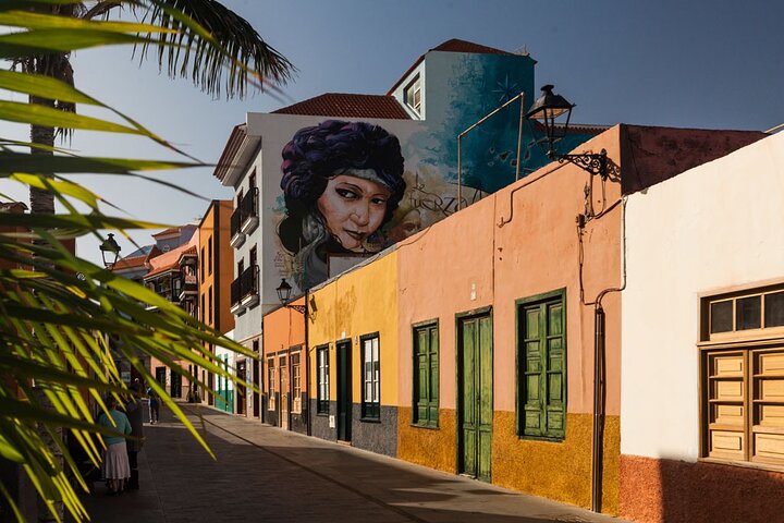 Day Tour with Official Guide Around the Island of Tenerife