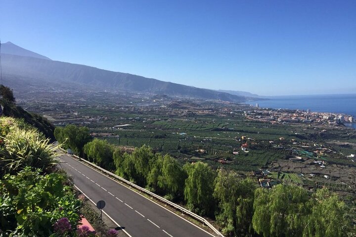 Day Tour with Official Guide Around the Island of Tenerife