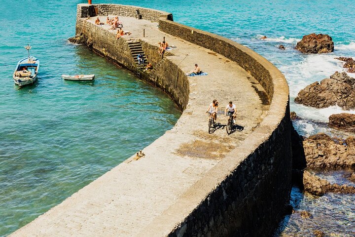 Day Tour with Official Guide Around the Island of Tenerife