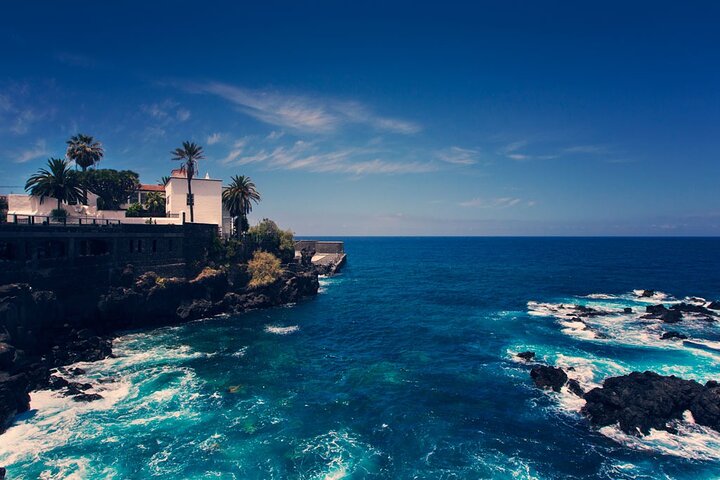 Day Tour with Official Guide Around the Island of Tenerife