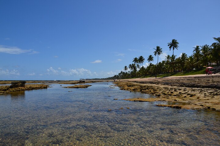 Private Transfer from Porto de Galinhas to Recife Airport