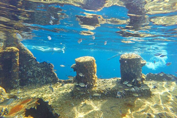 Zadar: The Best of Dugi Otok - Shipwreck, Sandy Beach & Sea Cave