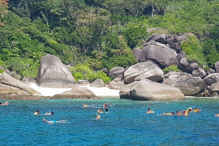 Koh Samui: Koh Tao & Koh Nang Yuan Snorkeling Tour by Speed Boat