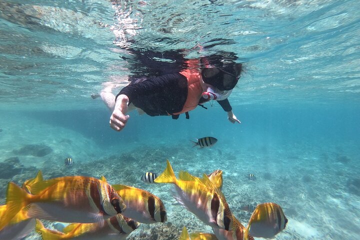 Koh Samui: Koh Tao & Koh Nang Yuan Snorkeling Tour by Speed Boat
