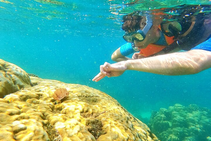OnBird - Private family KID-FRIENDLY Snorkeling trip by speedboat in Phu Quoc