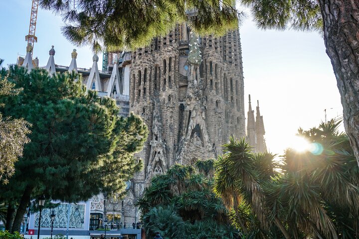 Barcelona all included: Sagrada, Park Güell, Montjuic & Gothic