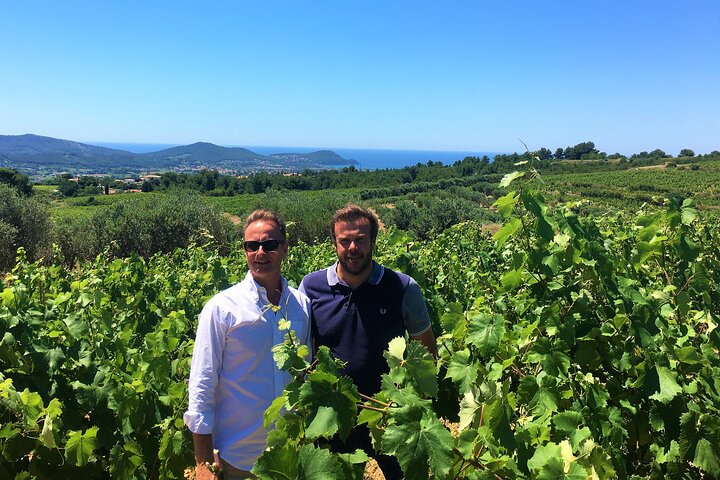Private Full Day Wine Tour in Provence from Toulon Cruise Port