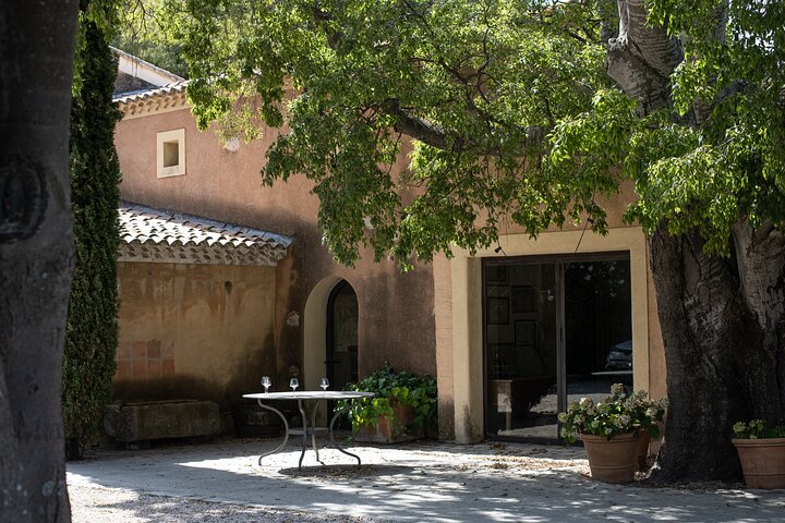 Private Full Day Wine Tour in Provence from Toulon Cruise Port