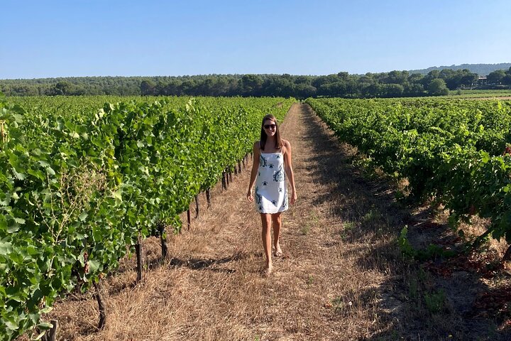 Marseille Shore Excursion - Full Day Wine Tour in Provence