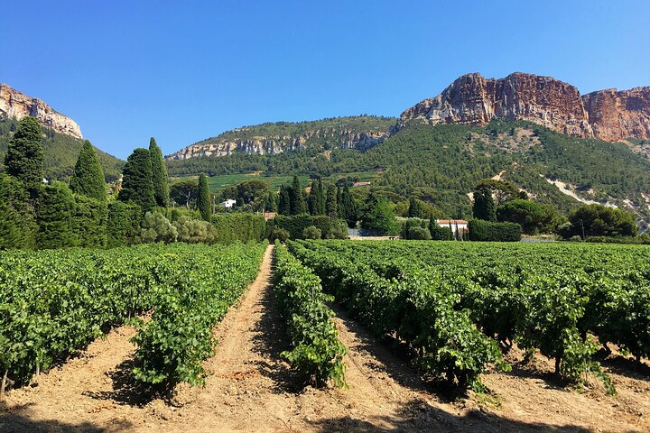 Private Full Day Wine Tour in Provence from Toulon Cruise Port