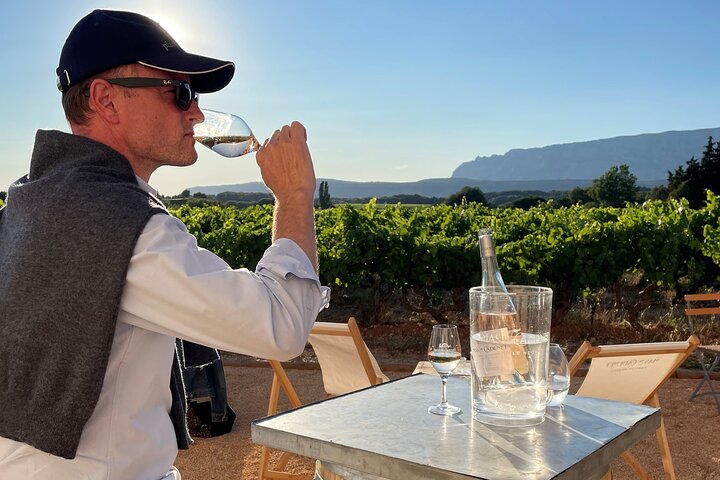 Private Full Day Wine Tour in Provence from Toulon Cruise Port