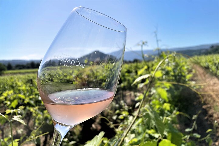 Private Full Day Wine Tour in Provence from Toulon Cruise Port