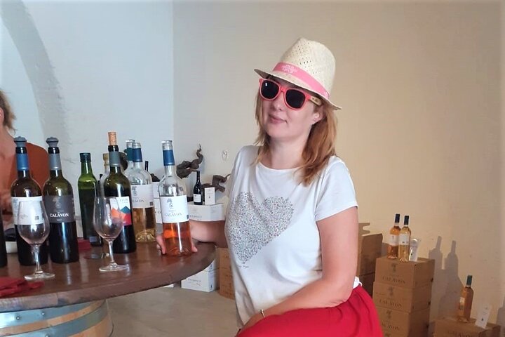 Marseille Shore Excursion - Full Day Wine Tour in Provence
