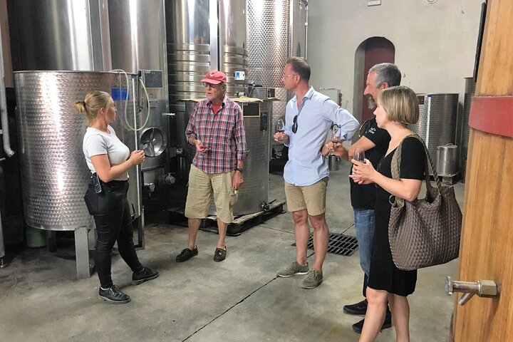 Marseille Shore Excursion - Full Day Wine Tour in Provence