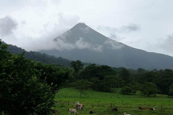 Shuttle Service from Bocas del Toro, Panama to La Fortuna (Arenal Volcano) CR.