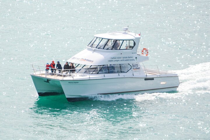 Akaroa Dolphins ~ Harbour Nature Cruise