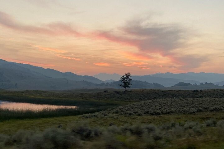 Private Evening/Sunset Wildlife Encounter Tour