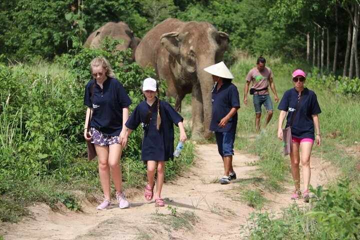 Koh Samui: Elephant Nature Care, the largest elephant sanctuary