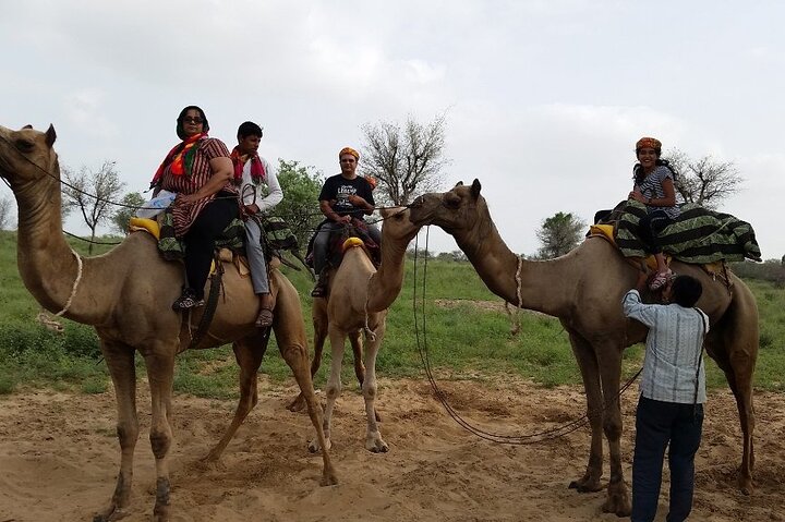 Desert Camel Safari & Jeep Safari Tour From Jodhpur