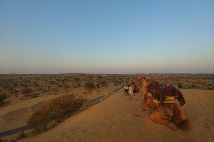 Desert Camel Safari & Jeep Safari Tour From Jodhpur