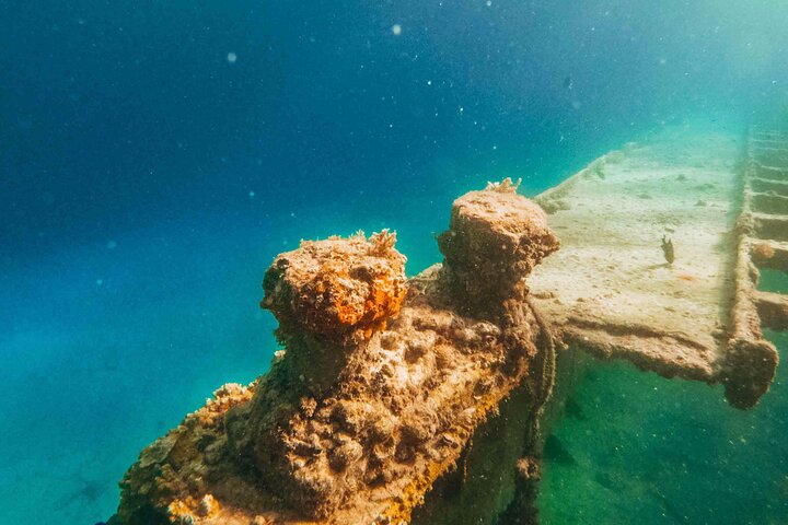 Visite guidée en français en bateau : Mangrove, ilets, snorkeling