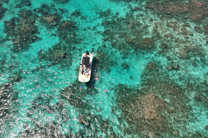 Visite guidée en français en bateau : Mangrove, ilets, snorkeling