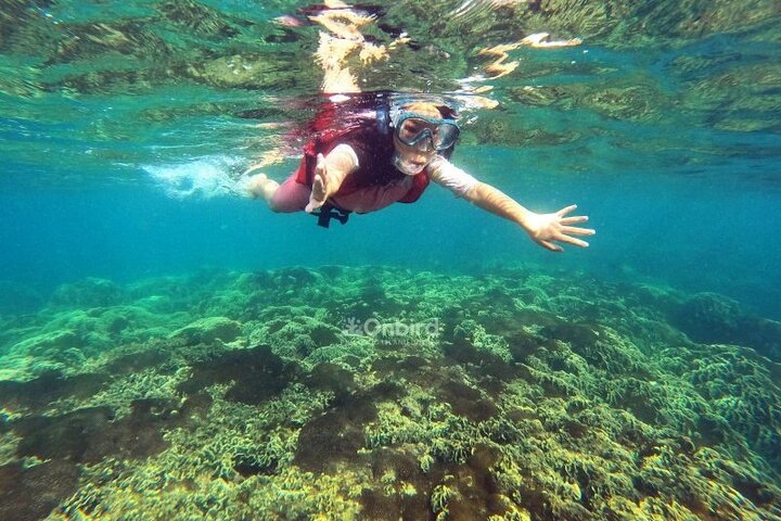 OnBird - Private family KID-FRIENDLY Snorkeling trip by speedboat in Phu Quoc