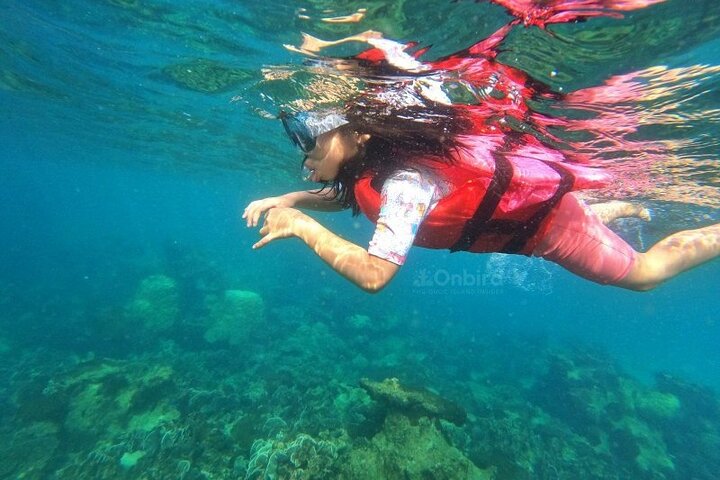 OnBird - Private family KID-FRIENDLY Snorkeling trip by speedboat in Phu Quoc