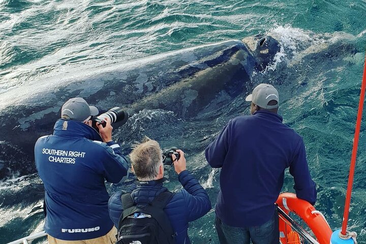 5 Day Private Luxury Garden Route Safari from Port Elizabeth