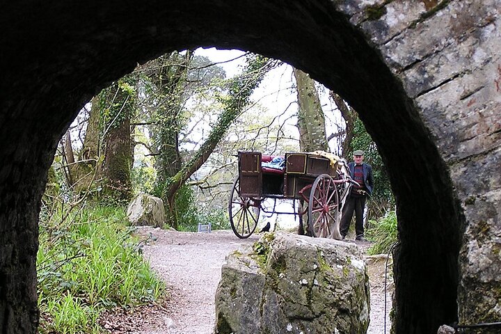 Full-Day Ring of Kerry Tour from Killarney