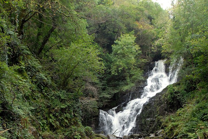 Full-Day Ring of Kerry Tour from Killarney