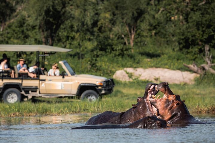 3 Hours Chobe Game Drive Safari, Botswana