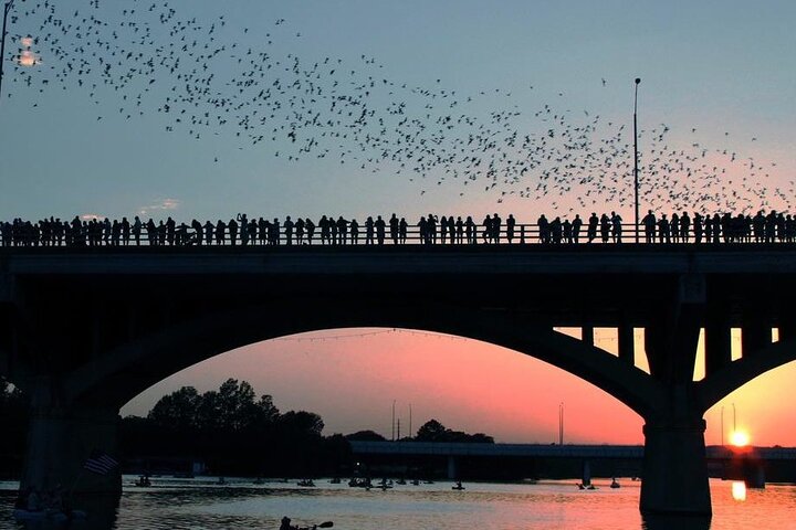 Guided Sunset Bat Kayak Tour in Austin
